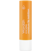 Everyday Moisture Lip Nutrition