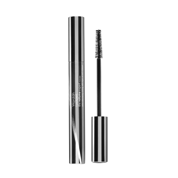 EyeXpert the Volume Expert Mascara